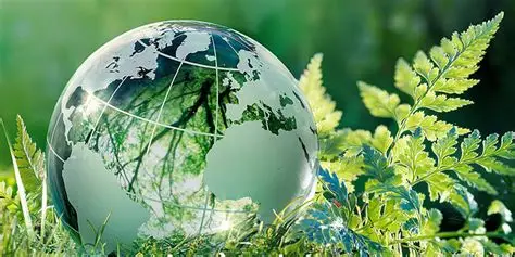 Management environnemental